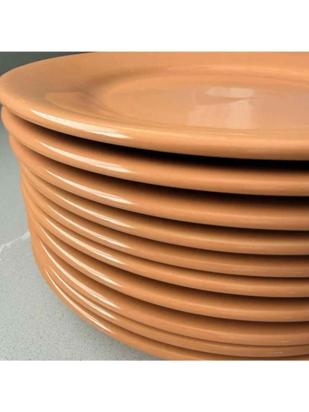 Crate & Barrel Set Of 10 Appetizer Salad Plates Sierra TerraCotta Stoneware 8.25